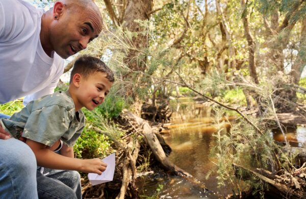 Origami-Boat-Taylor-Springs